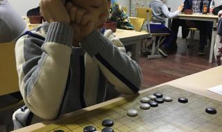 哈尔滨市的围棋学校有哪些 哈尔滨围棋学校